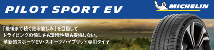 24年製 XL I PILOT SPORT EV RFID ニオ承認 並行のブランドイメージ
